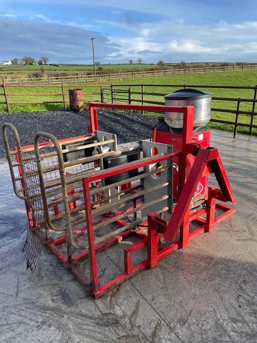 Automatic Calf Feeder - Image 1