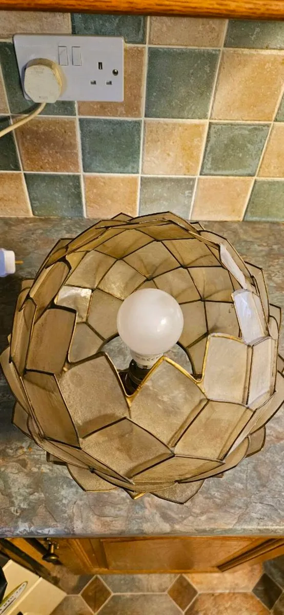 Capiz shell lotus flower lamp by Sheerlite Bolton - Image 3