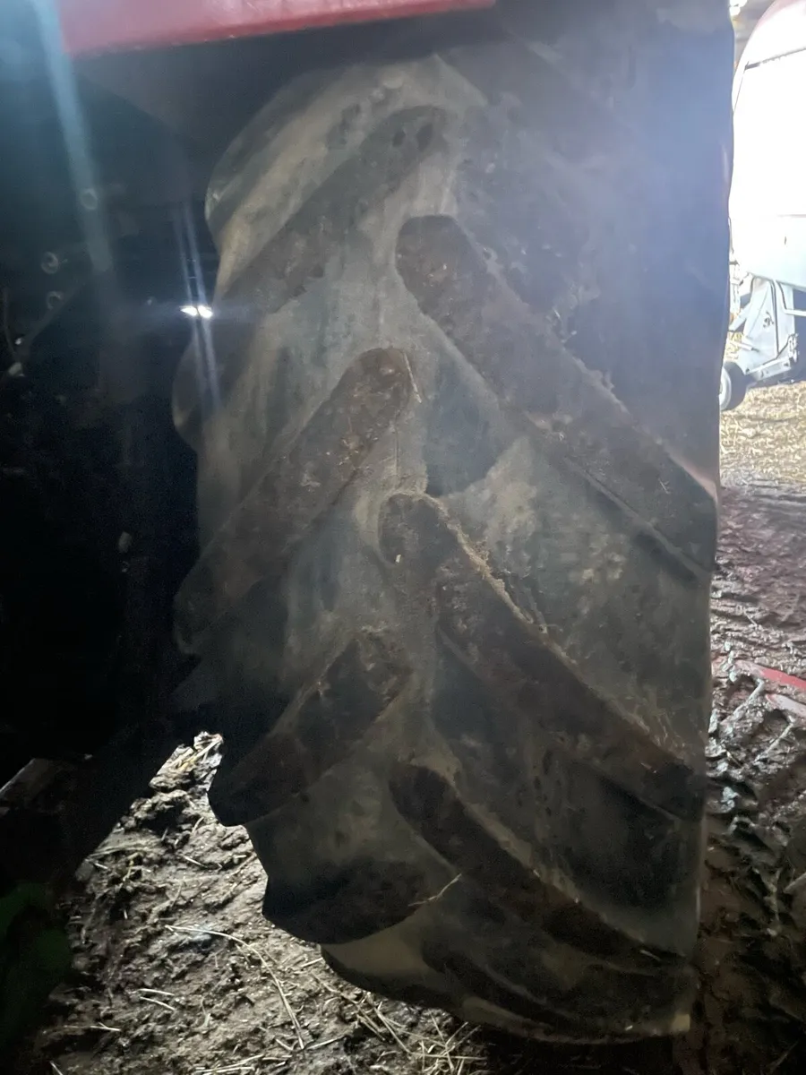 650/65/42 & 540/65/30 MICHELIN - Image 2