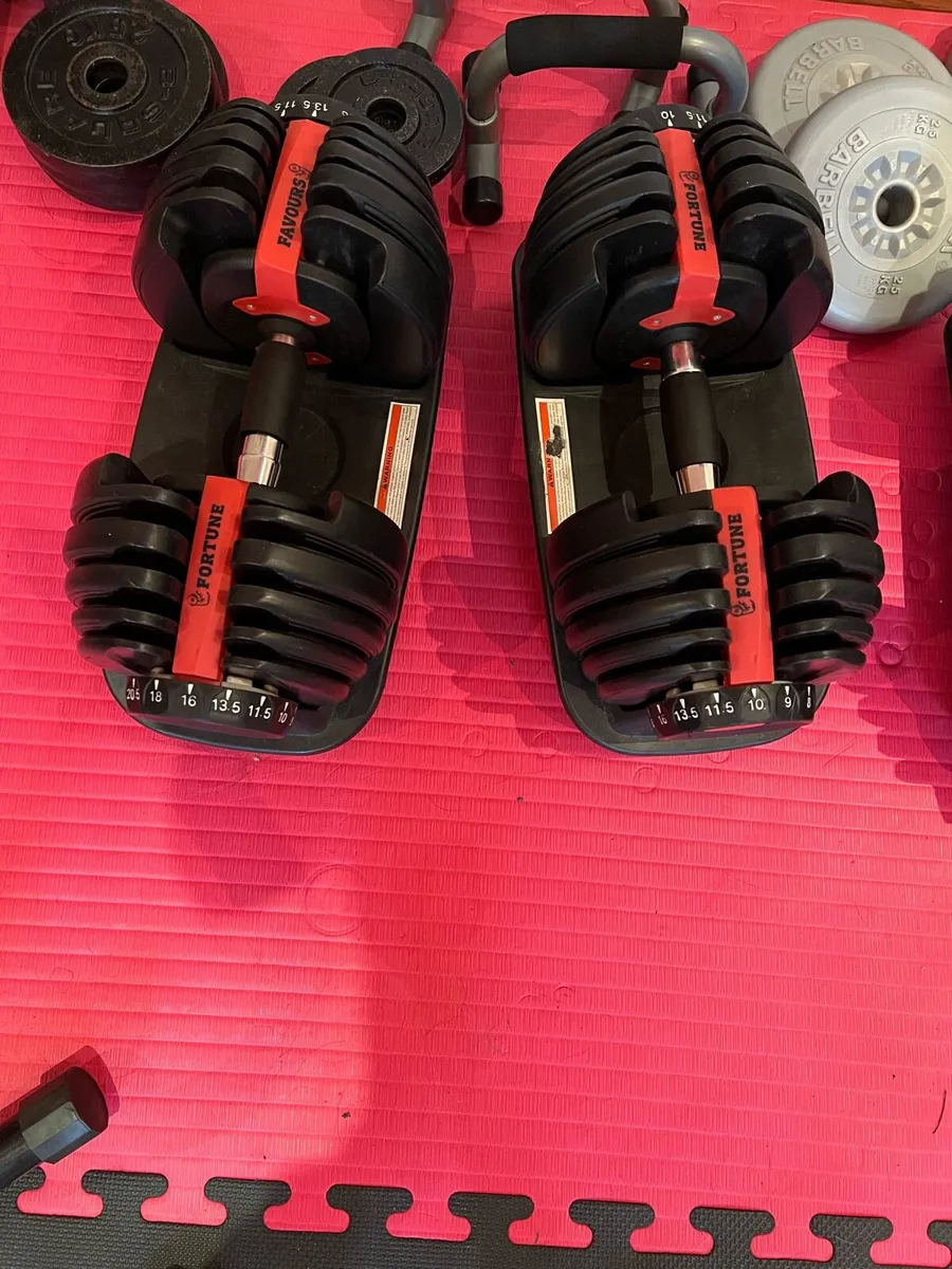 Adjustable dumbbells - Image 1