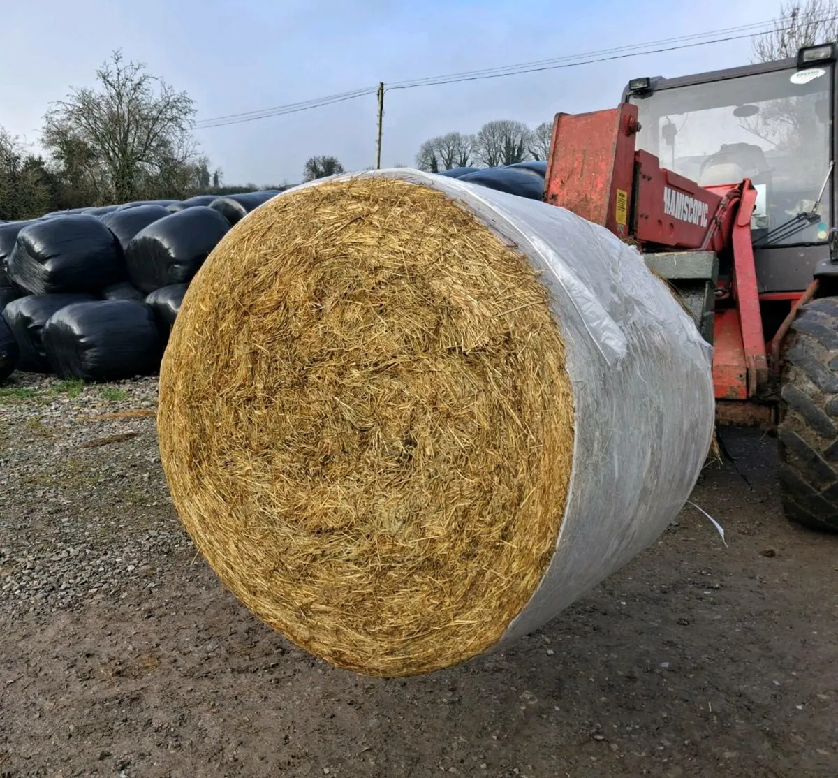 Silage Round Bales - Image 1