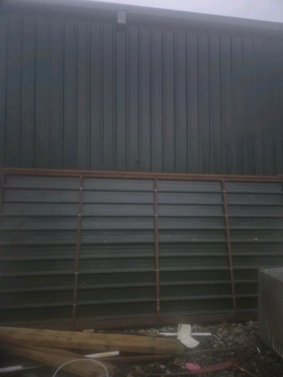 Shed doors - Image 4