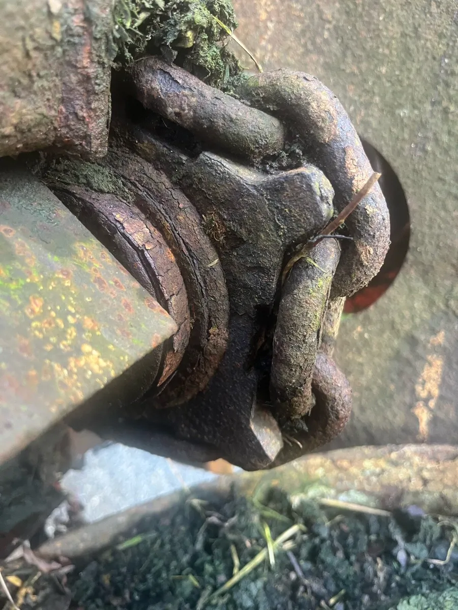 Teagle RD10 - Image 4