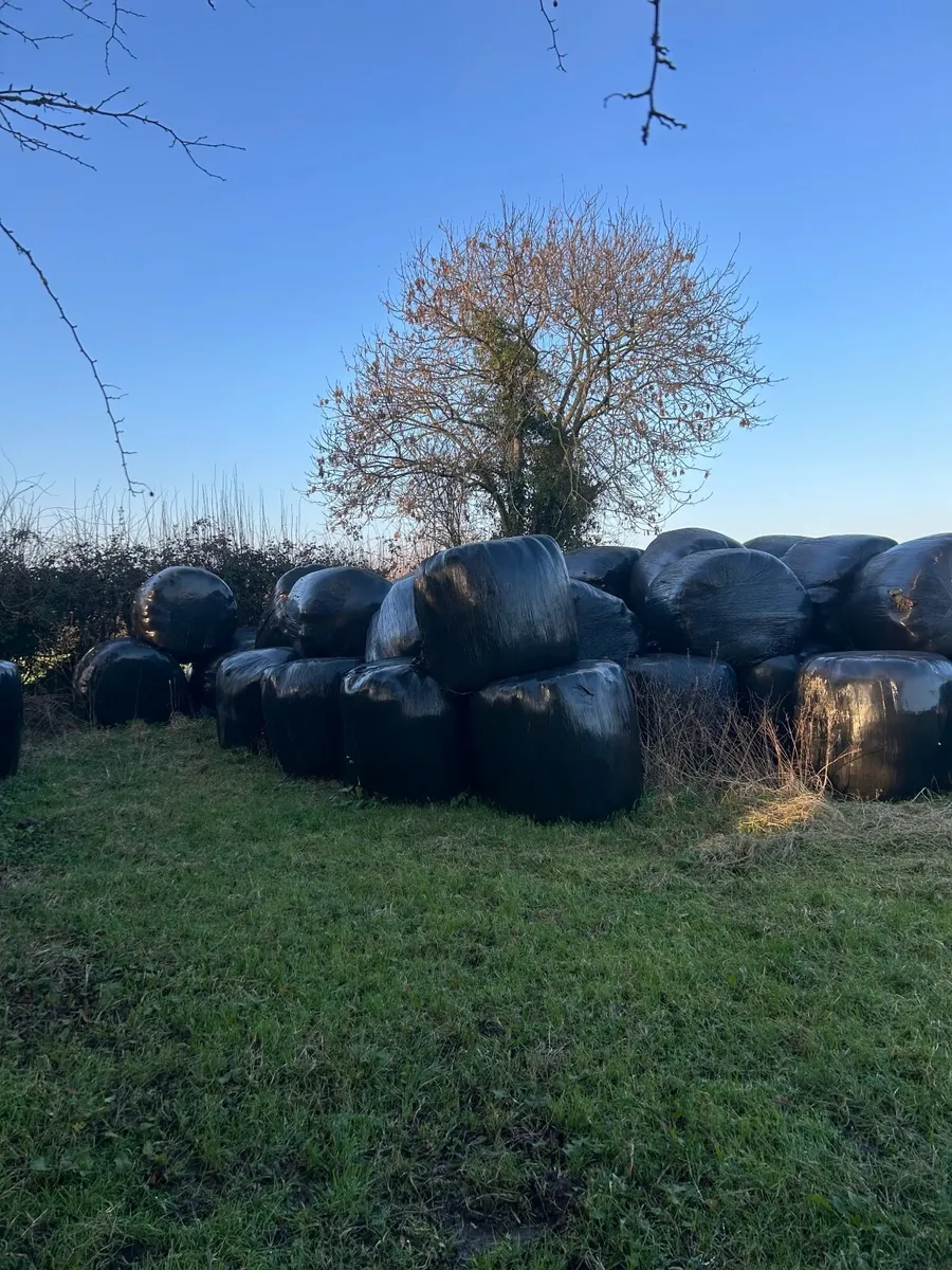 Hay and silage for sale - Image 3