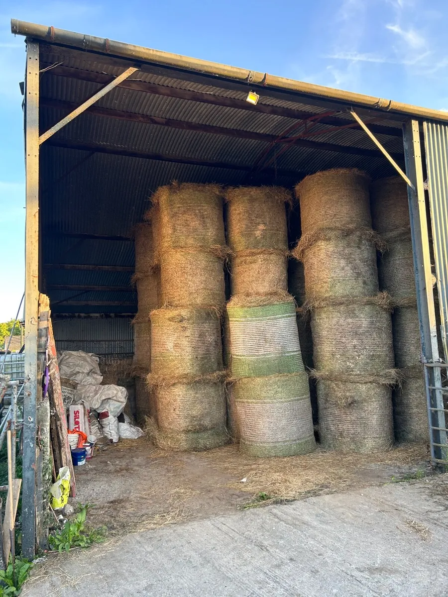 Hay and silage for sale - Image 2