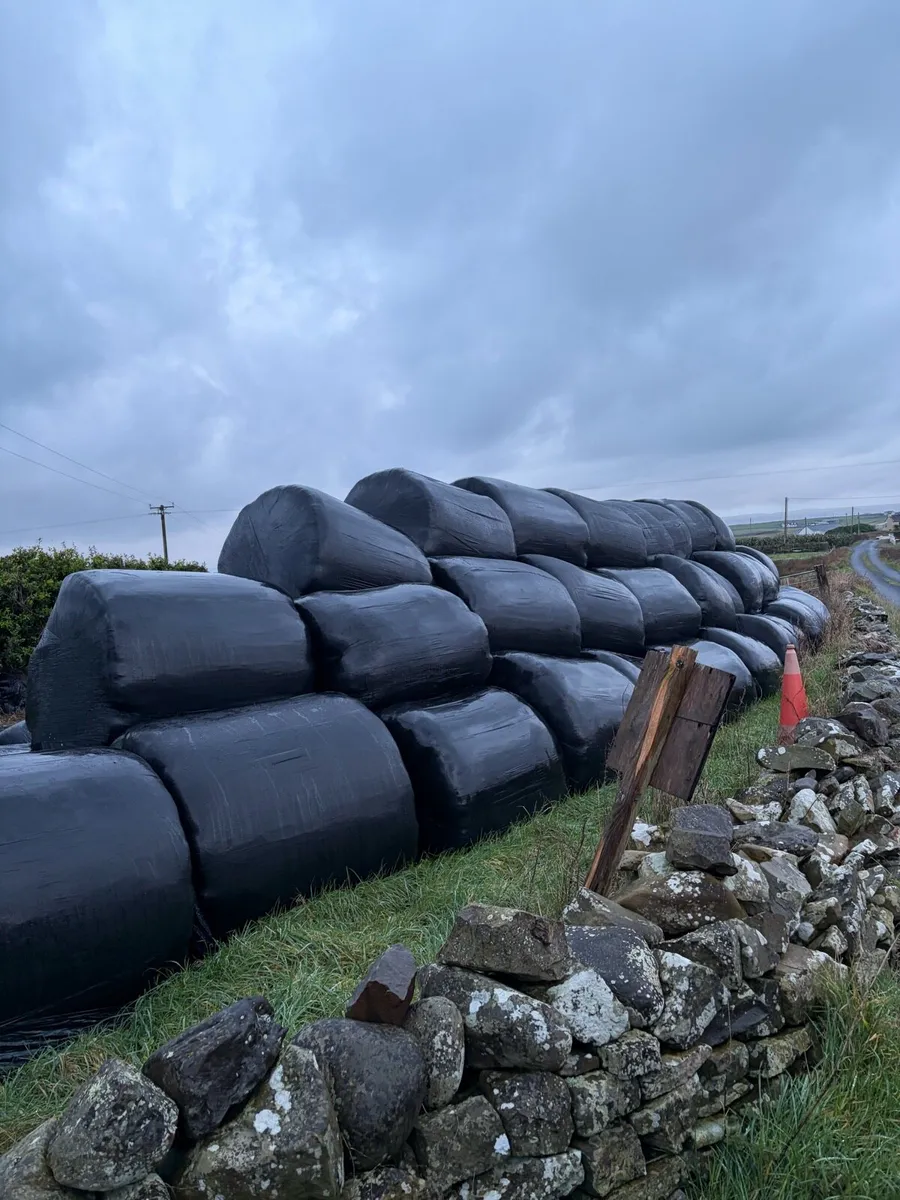 Silage bales - Image 2
