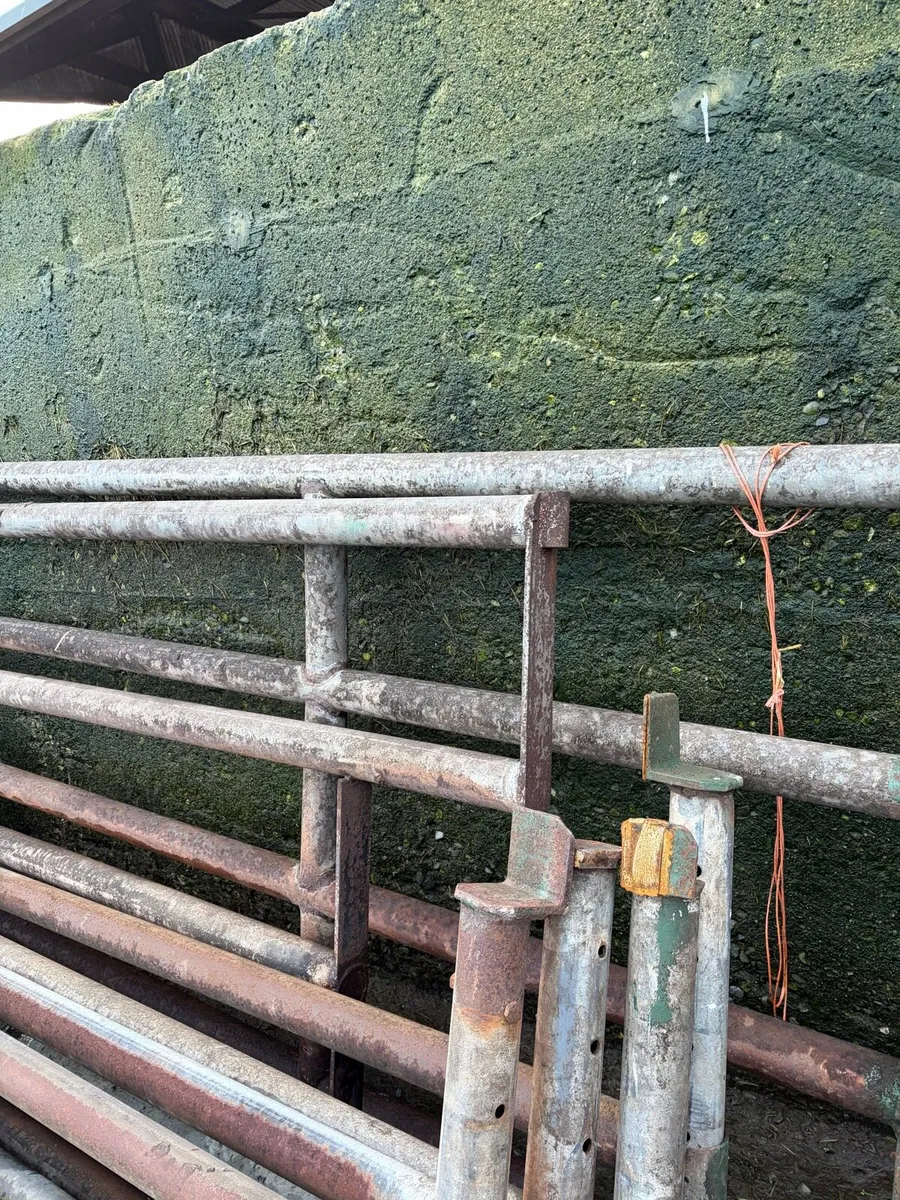 Feed rails and timbers - Image 3