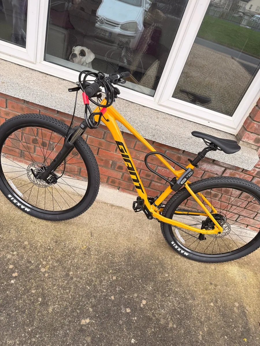 Brand new Giant talon 3 (beeswax yellow) - Image 1