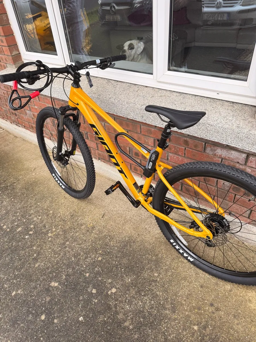 Brand new Giant talon 3 (beeswax yellow) - Image 2