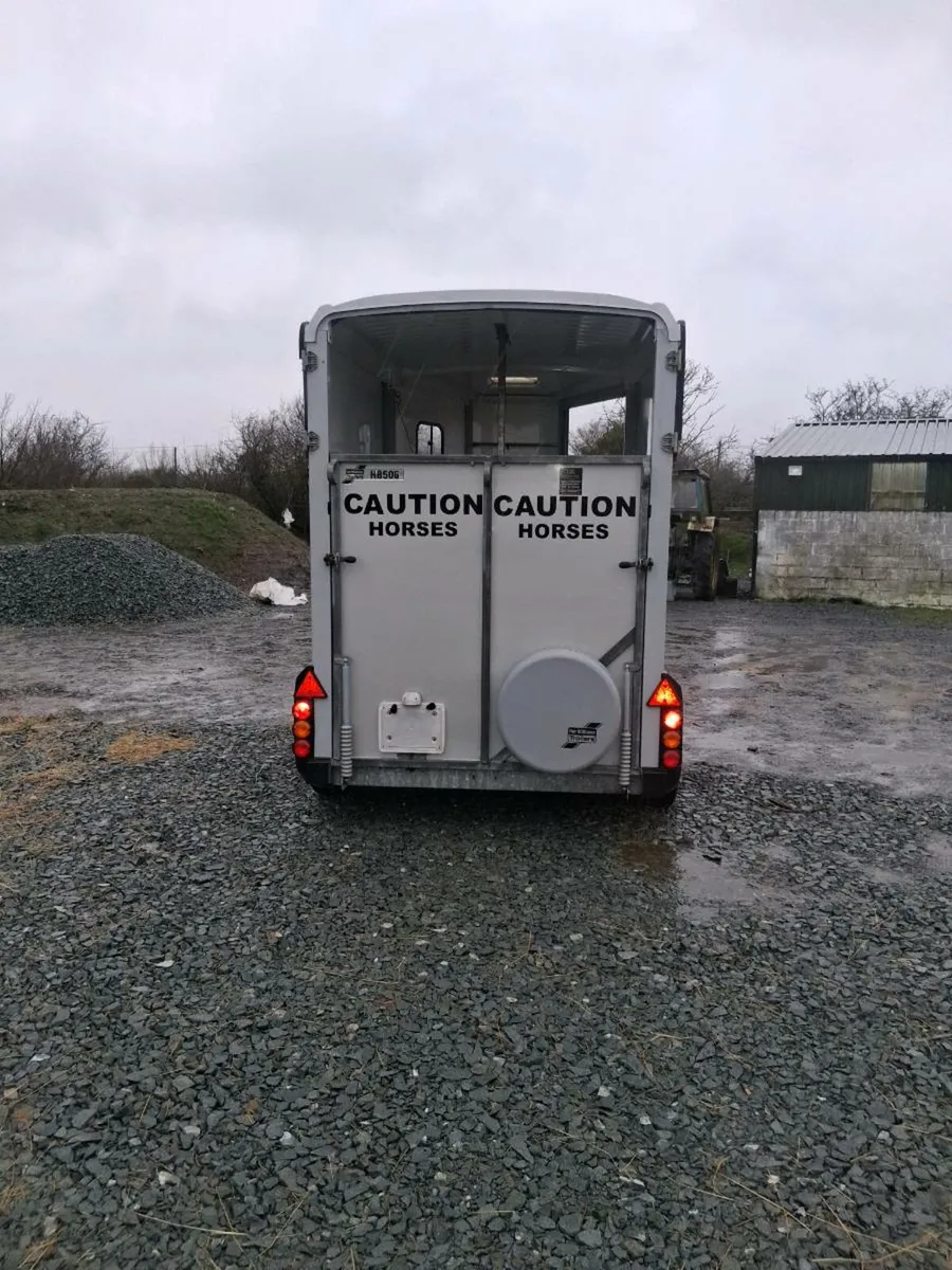 Iforwillams HB506 - Image 3