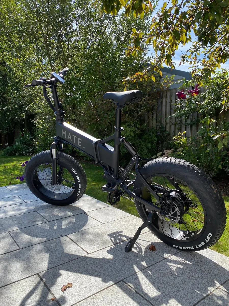 Mate x electric bike - Image 1