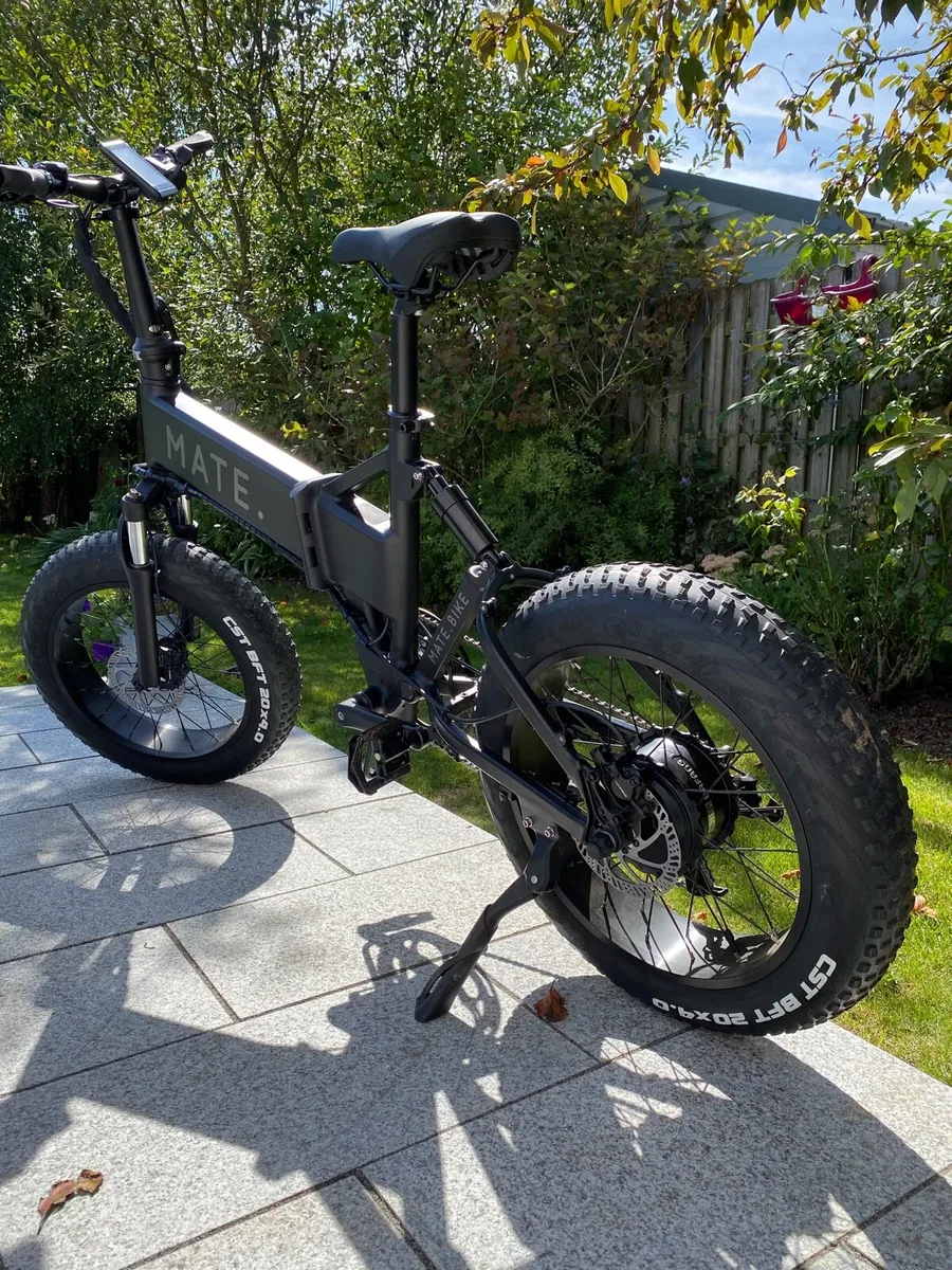 Mate x electric bike - Image 2