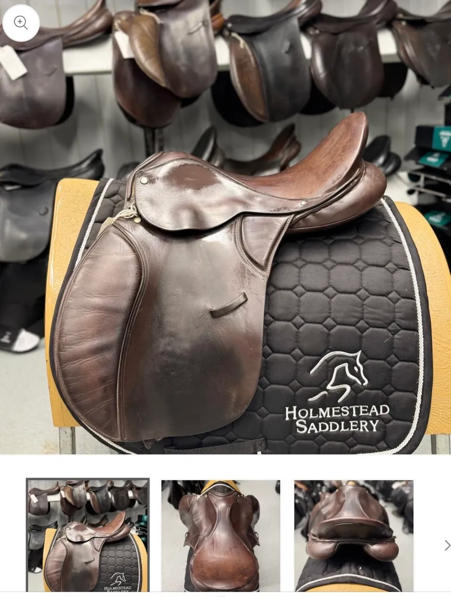 LIVE  EQUESTRIAN CLEARANCE AUCTION NO RESERVES - Image 4