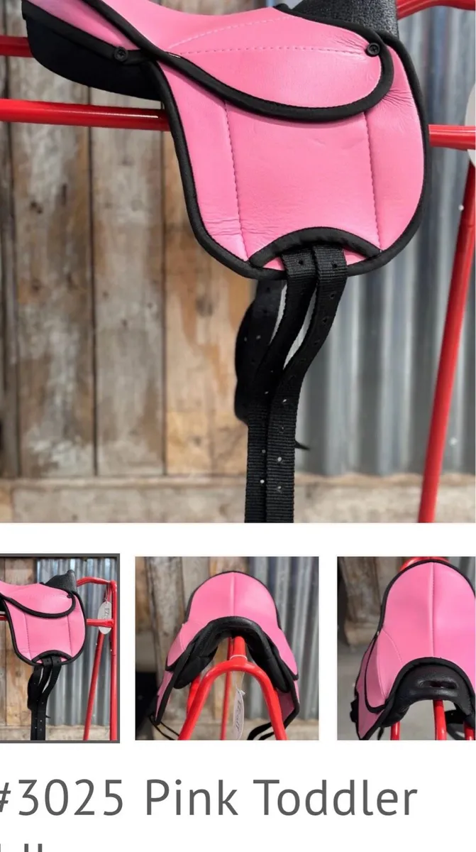 LIVE  EQUESTRIAN CLEARANCE AUCTION NO RESERVES - Image 2