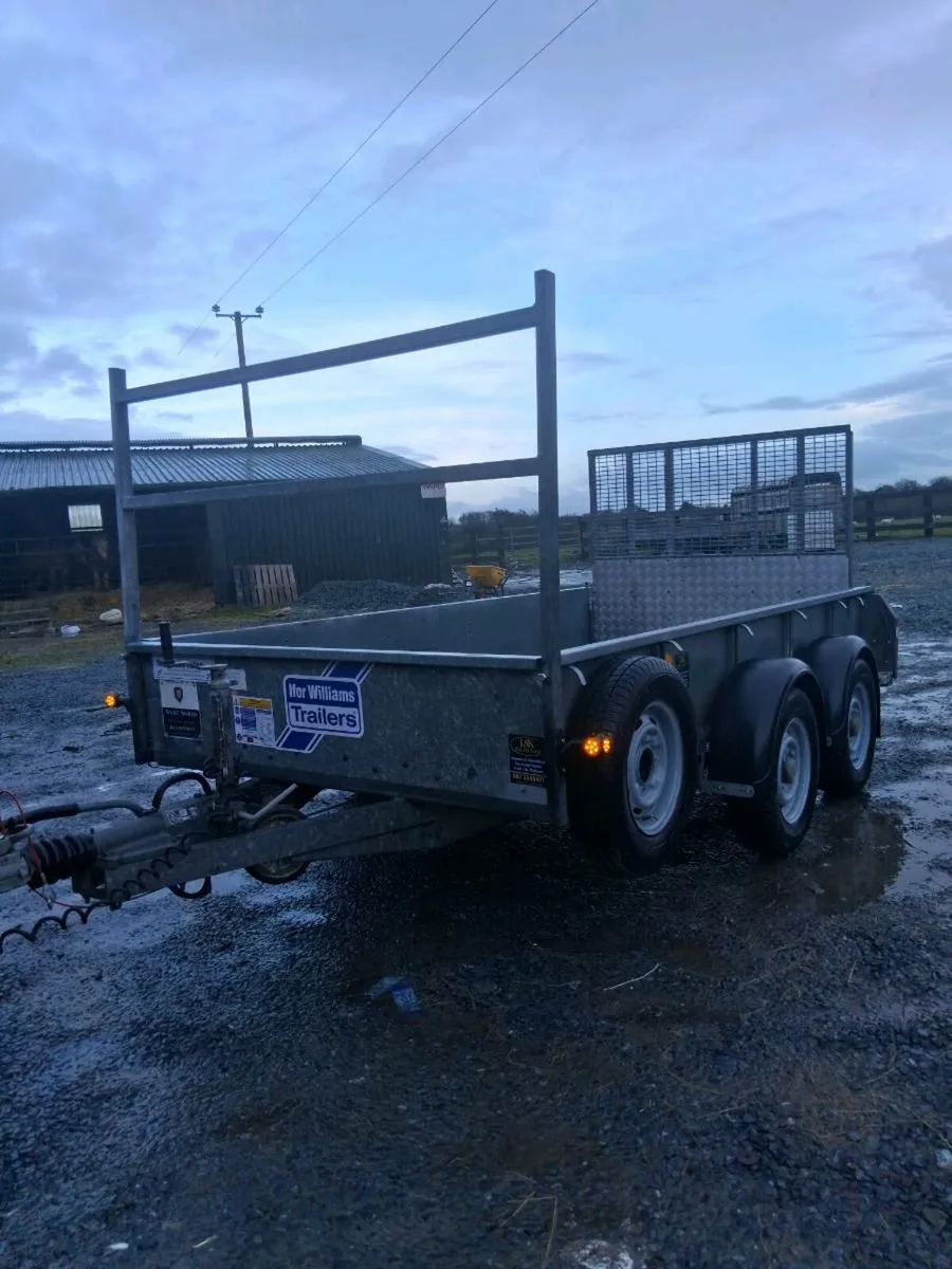 GD105 10x5 iforwillams trailer - Image 4