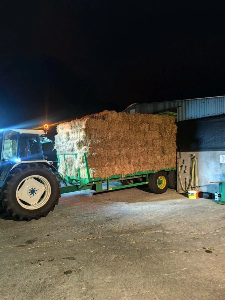 Hay Square - Image 4