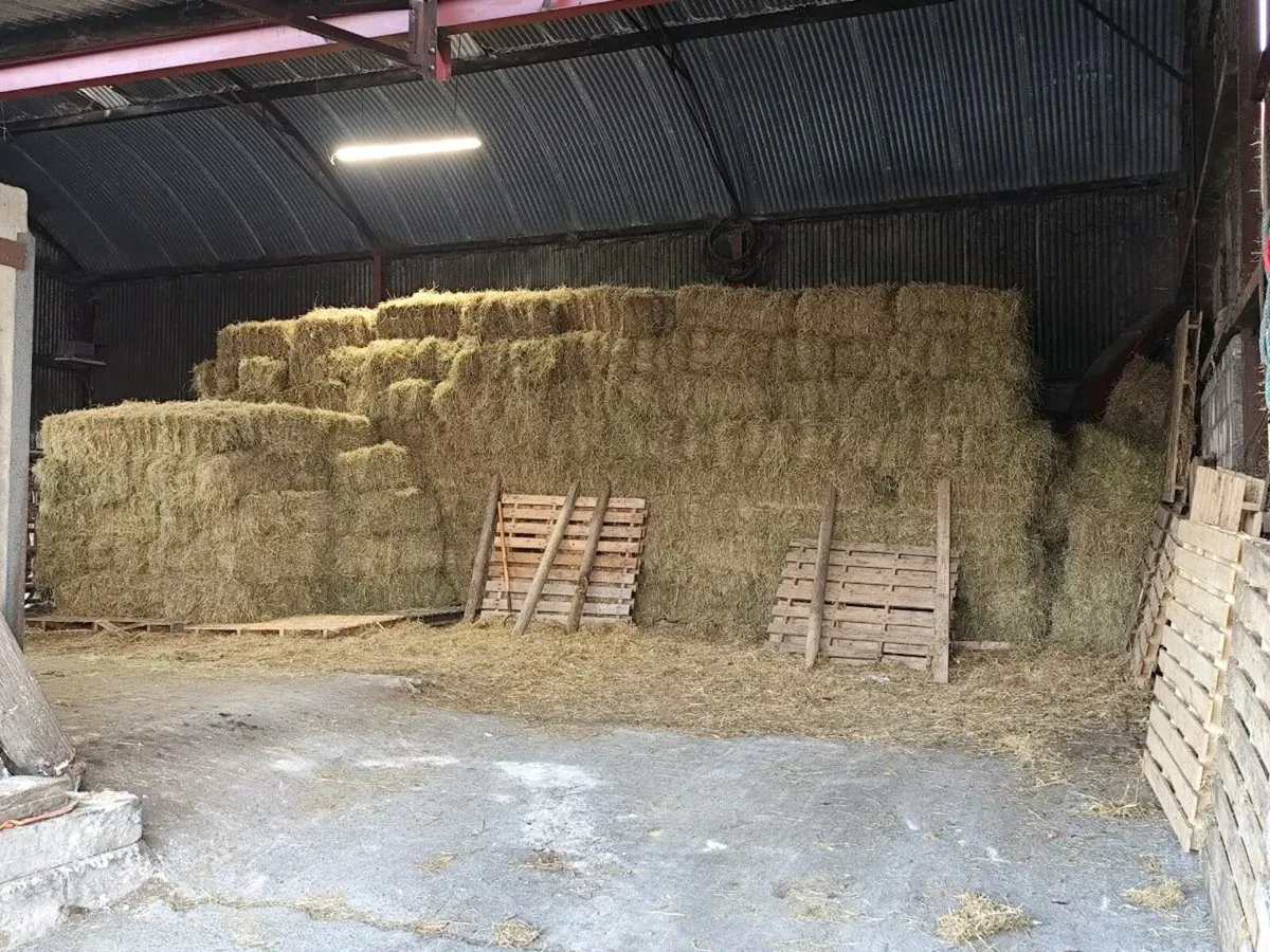 Hay Square - Image 1