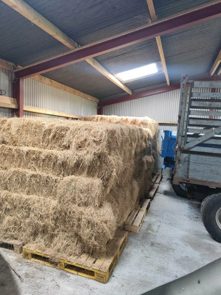 Hay Square - Image 2