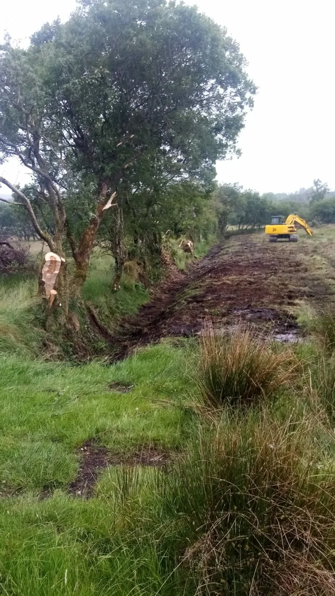 Livestock fencing - Image 3