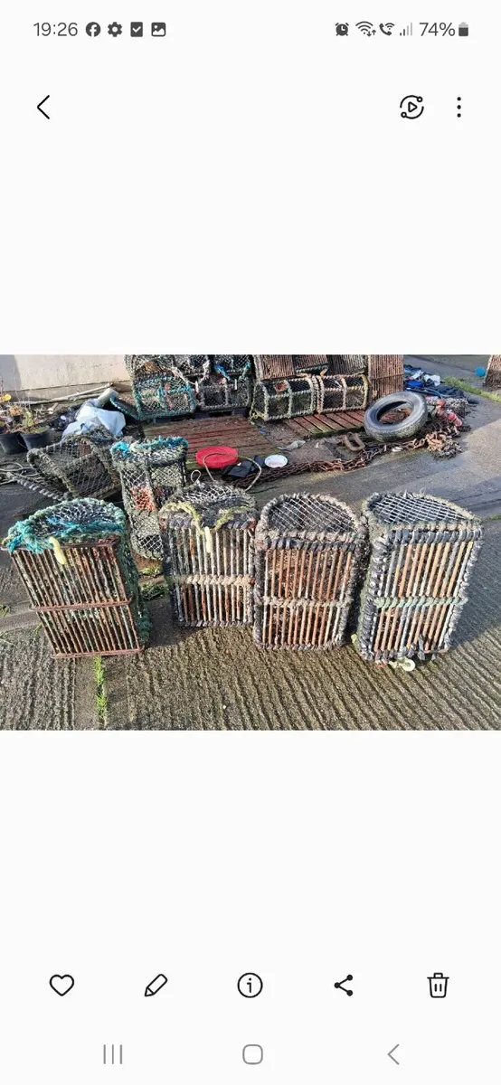 17 ft licenced punt for sale - Image 1