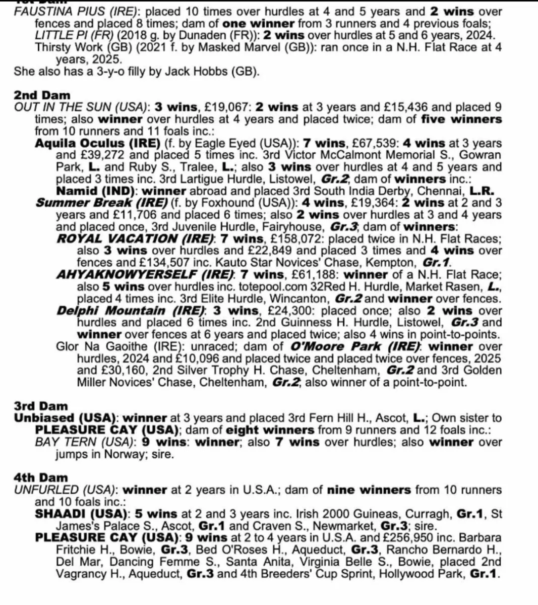 Blacktype pedigree Broodmare - Image 2
