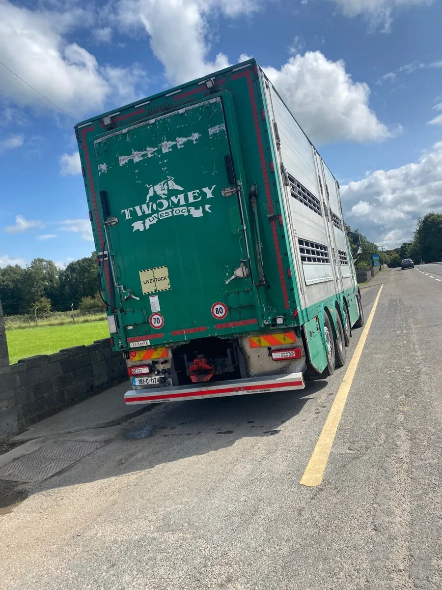 Volvo livestock lorry - Image 3