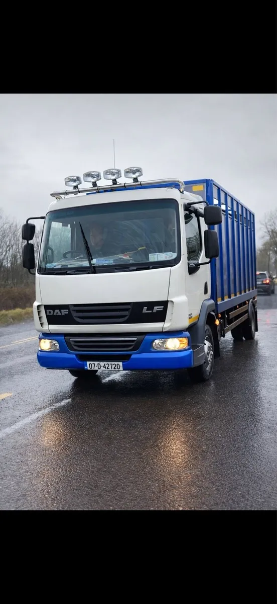 DAF LF45 CATLLE LORRY - Image 1