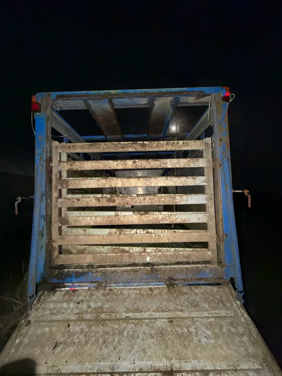 DAF LF45 CATLLE LORRY - Image 4