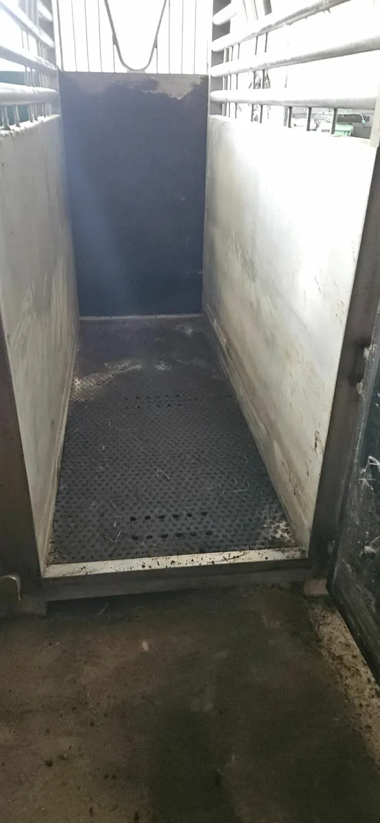 Equine spa or ice bath - Image 3