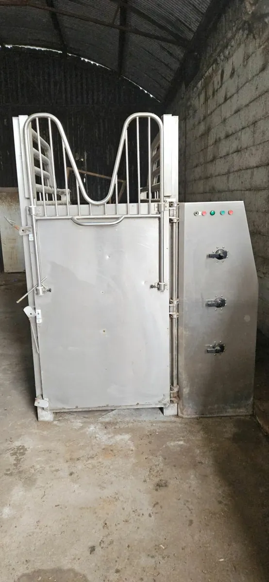 Equine spa or ice bath - Image 1