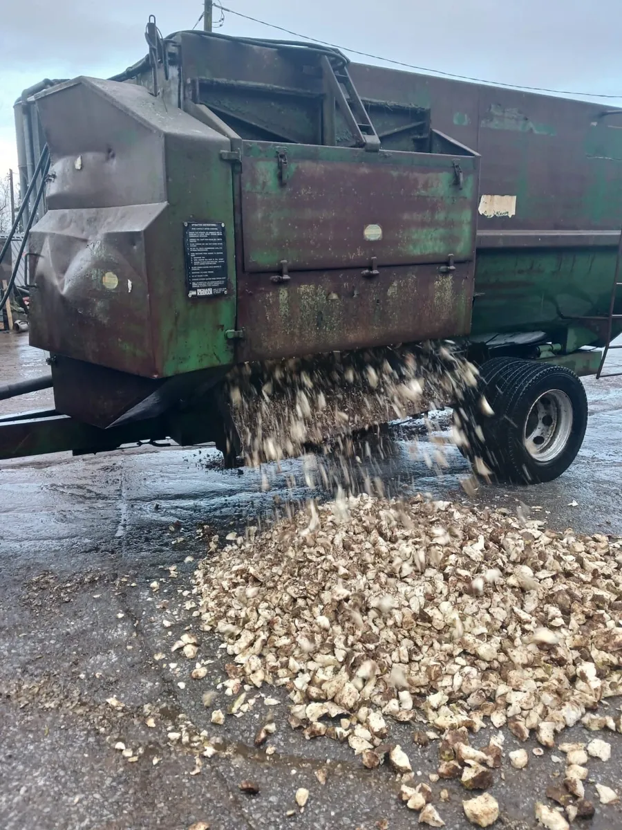 Beet washer /chopper - Image 1
