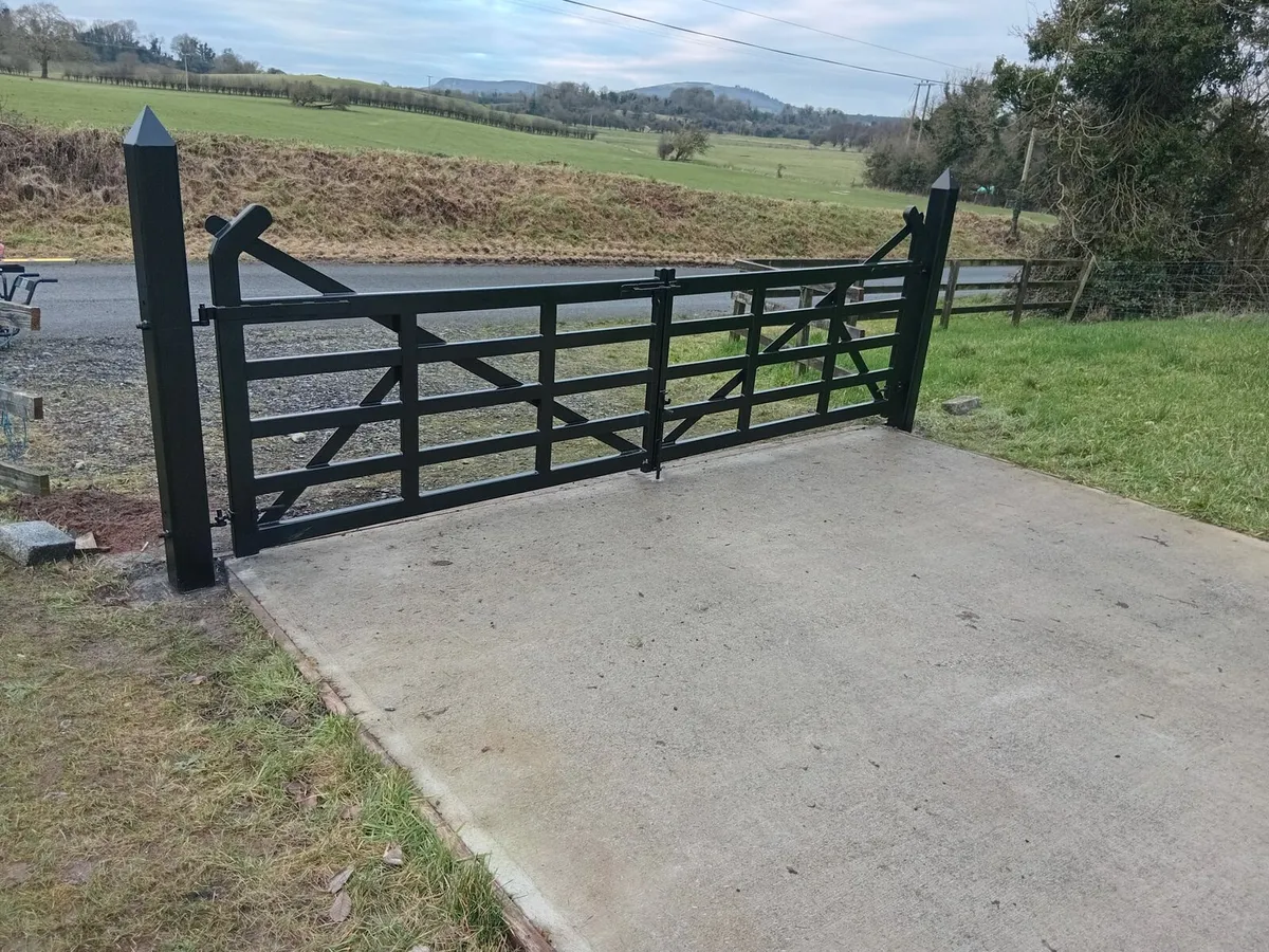 Steel Goosewing Gates - Image 1