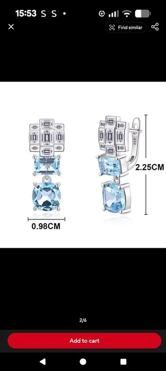 silver earrings - Image 1