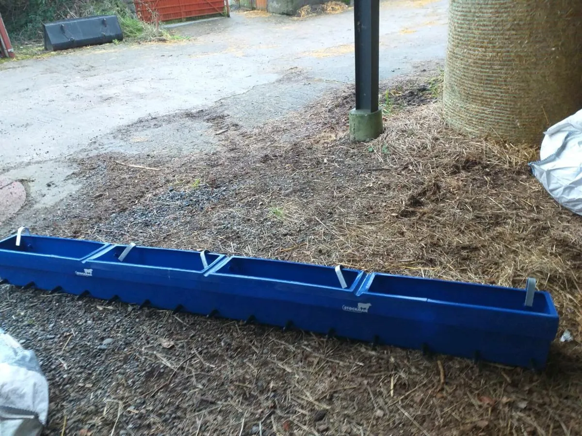 Cow foot bath 15 station calf feeder - Image 2