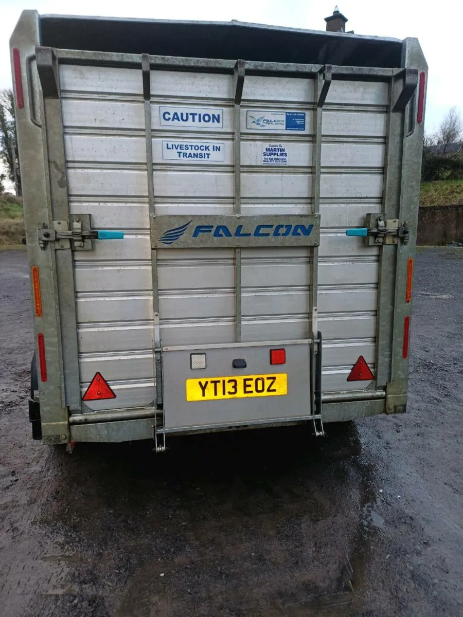 Falcon 12 x 6 cattle trailer - Image 2