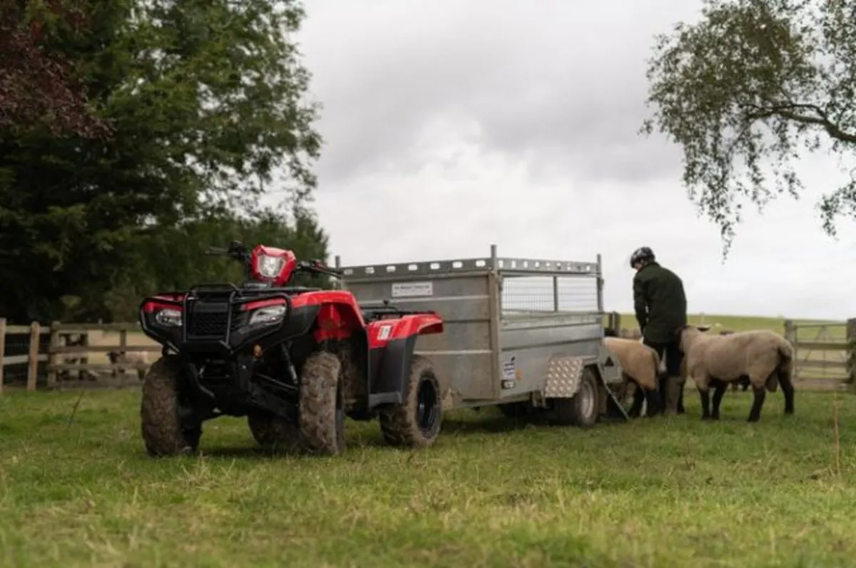 New Honda TRX 520FE2 - Image 3