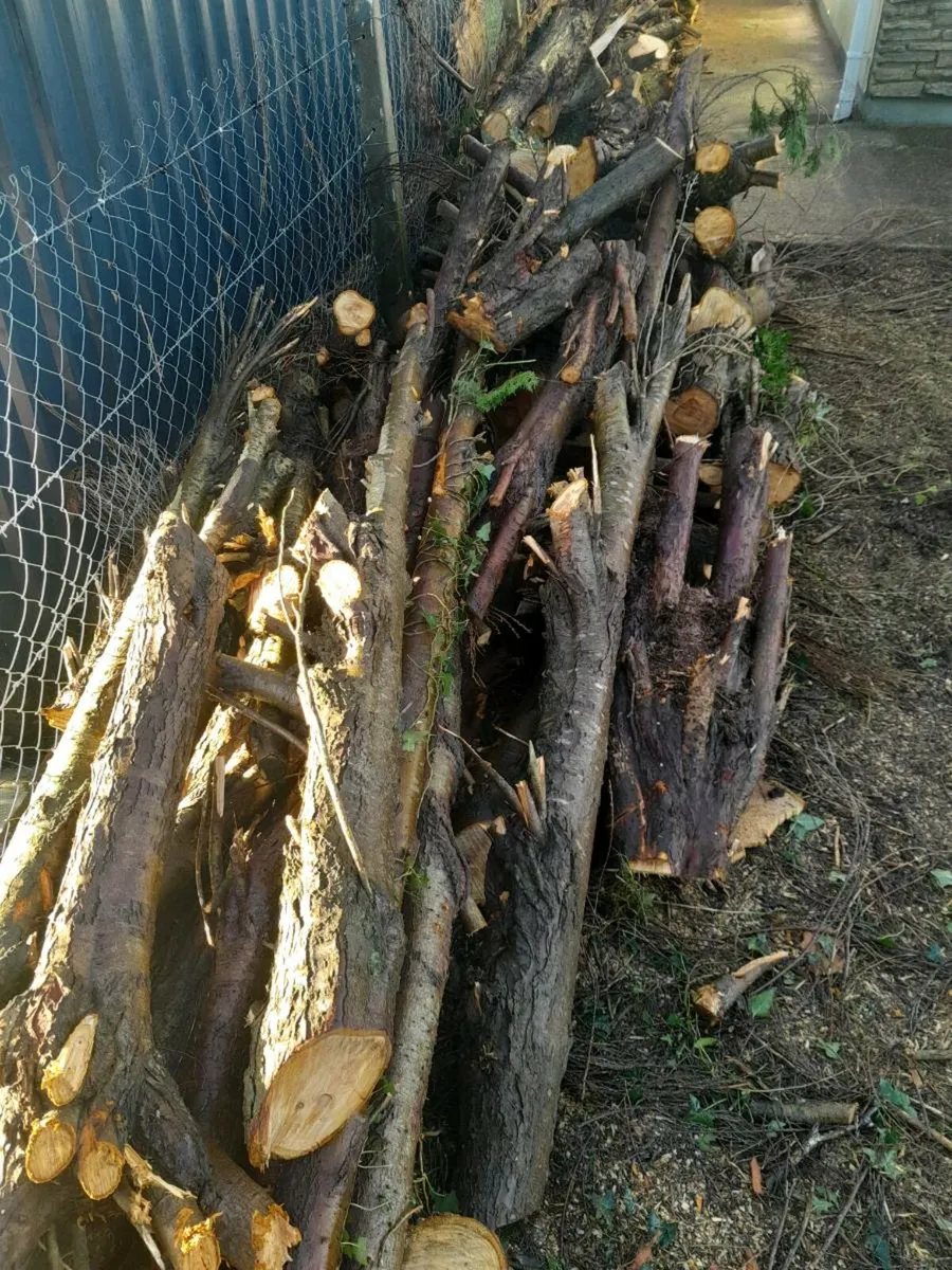 Firewood logs - Image 1