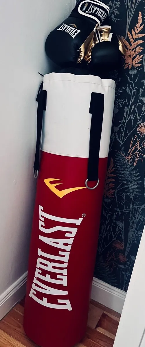 Heavy punch bag and boxing gloves - Image 1