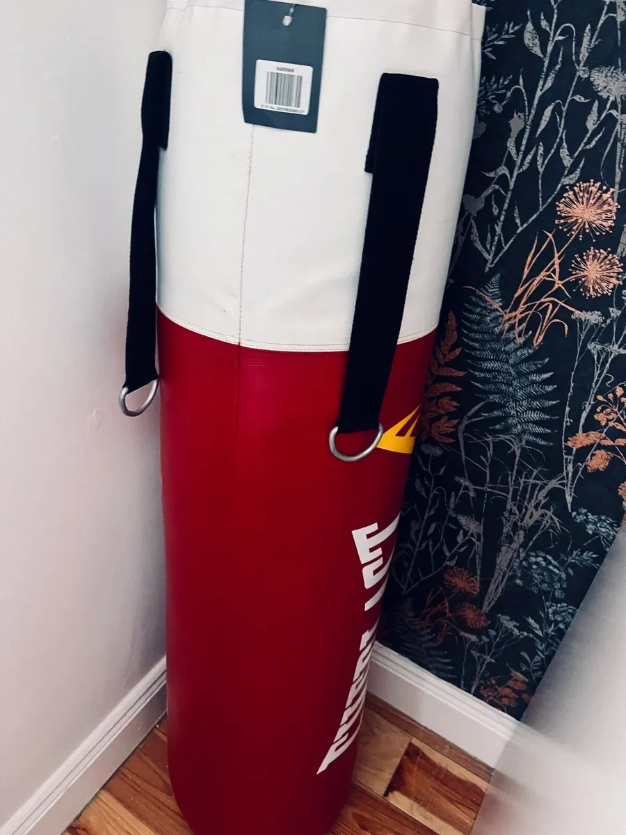 Heavy punch bag and boxing gloves - Image 2