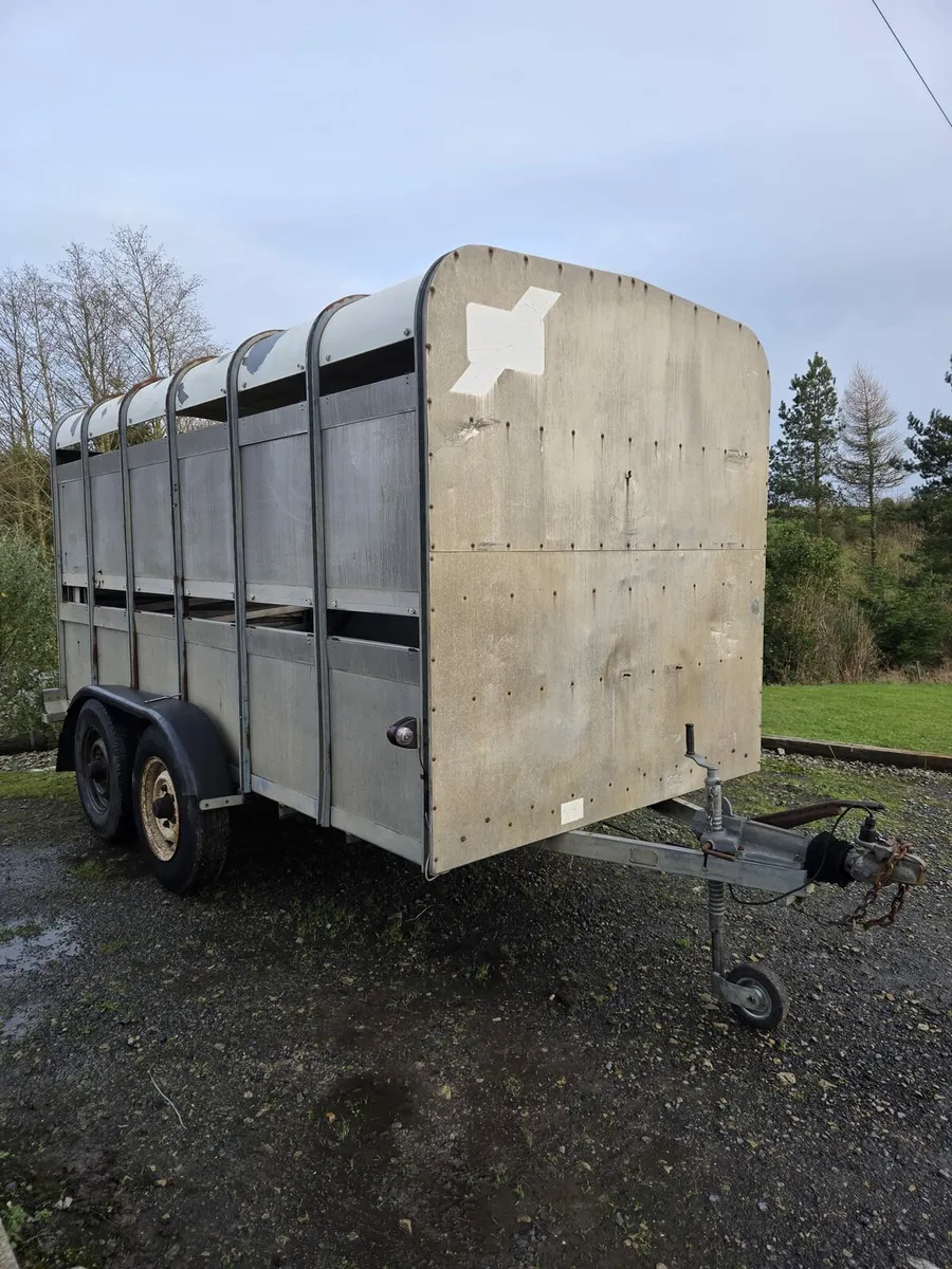 Ifor williams cattle trailer - Image 1