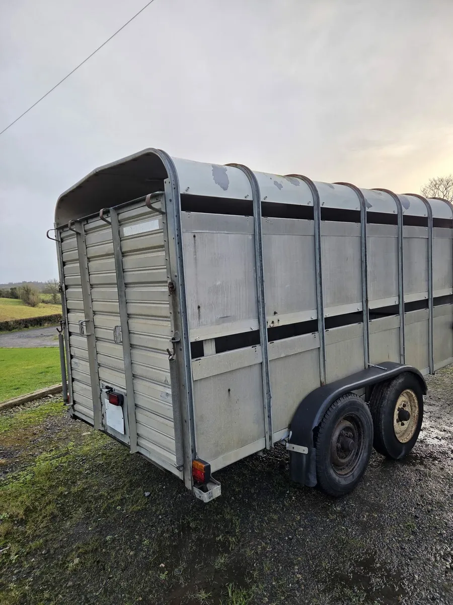 Ifor williams cattle trailer - Image 3