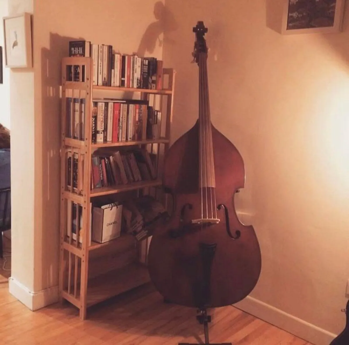 3/4 double bass - Image 2