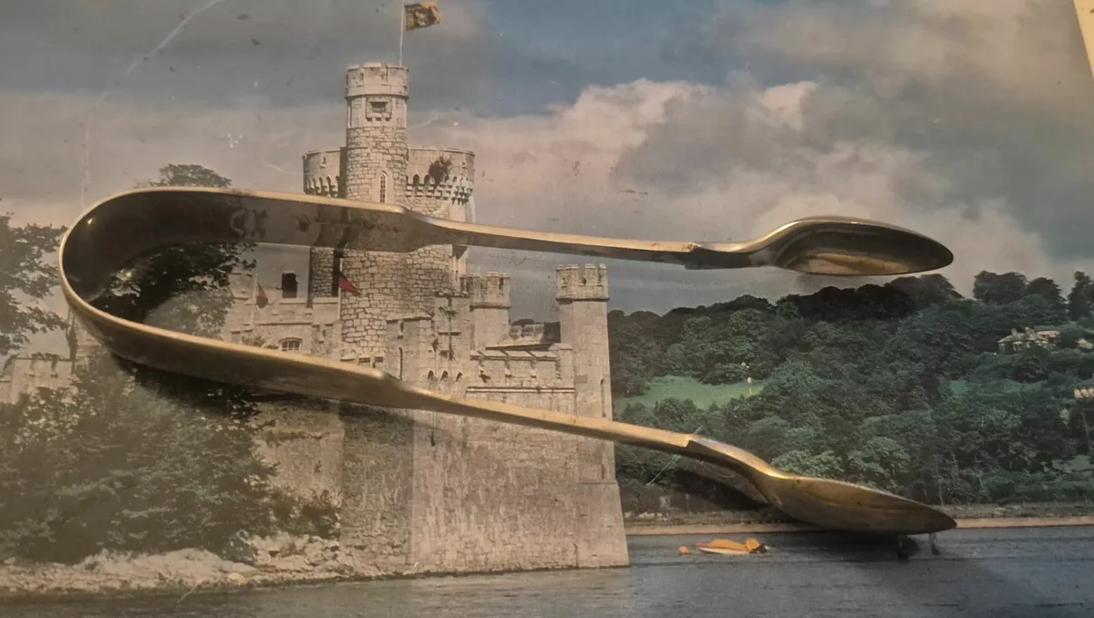 Sterling sugar tongs - Image 4