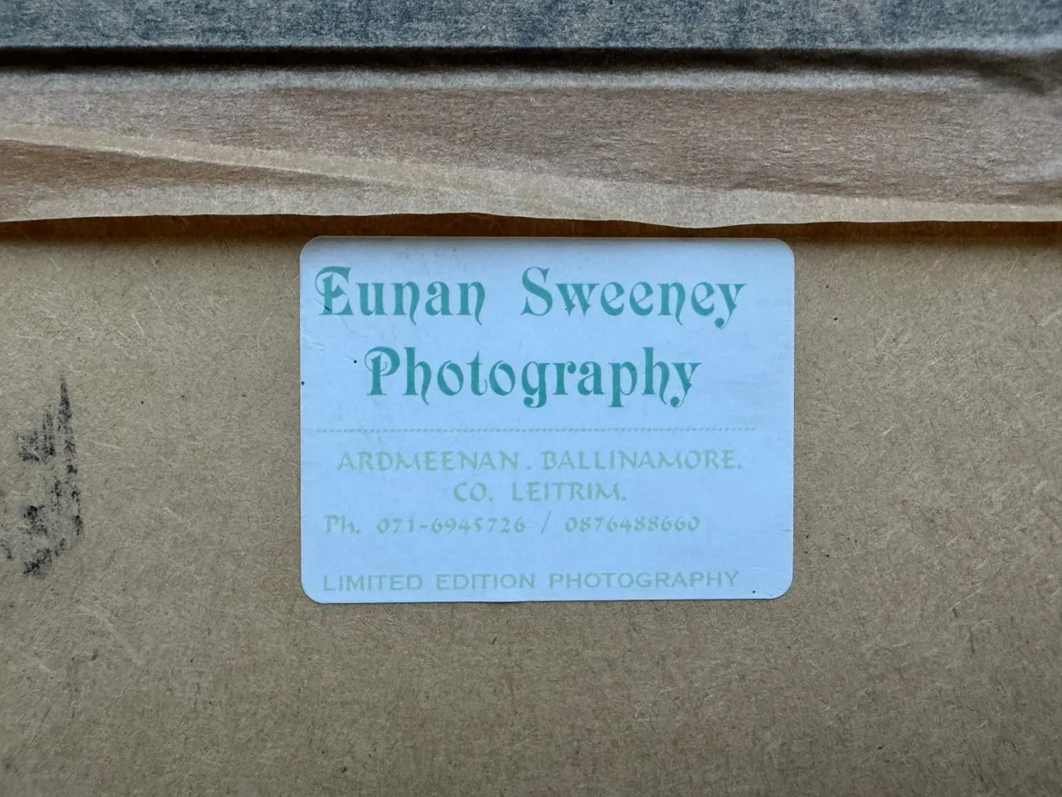 Framed Flower Wall Art - Image 4