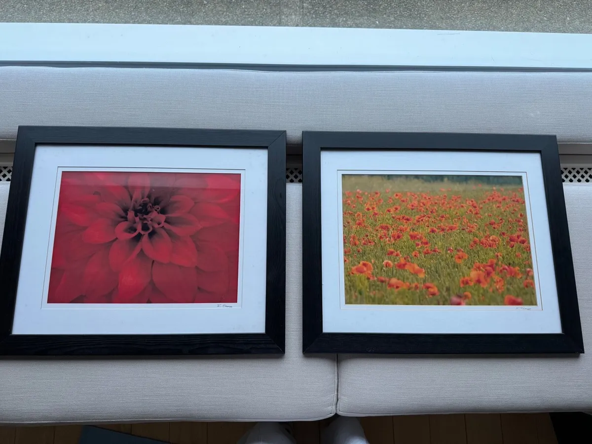 Framed Flower Wall Art - Image 1