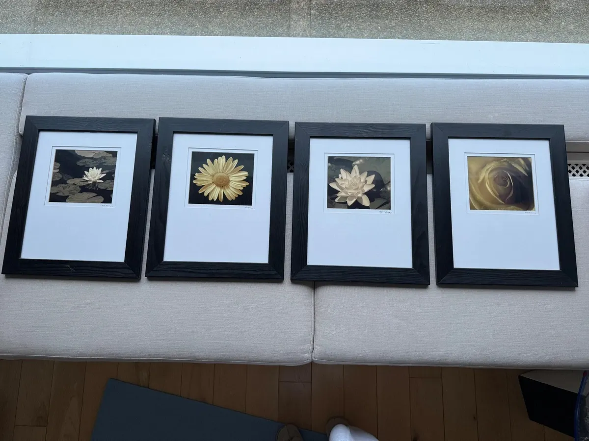 Framed Wall Art Flower Photographs Set - Image 1
