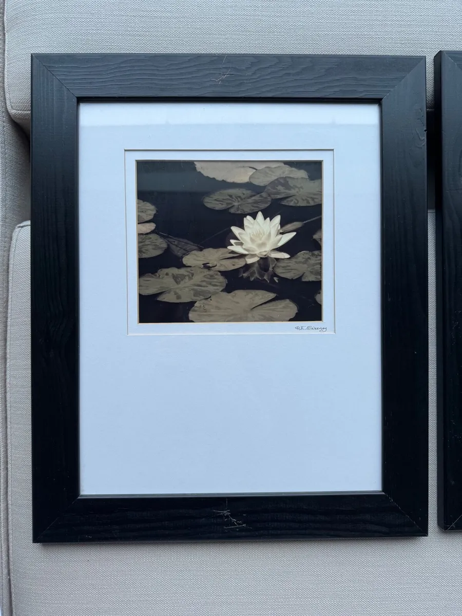 Framed Wall Art Flower Photographs Set - Image 3