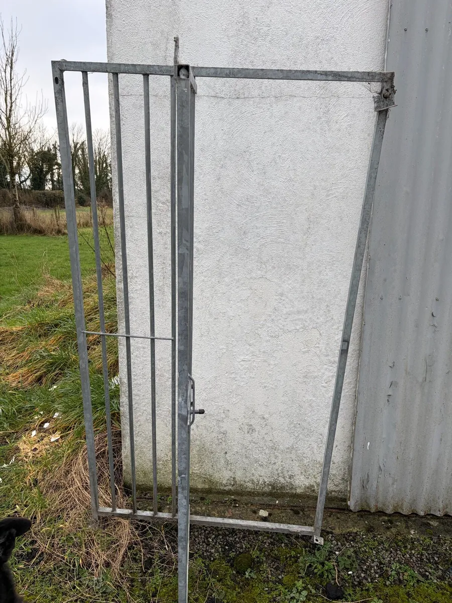 Kennel gate - Image 2