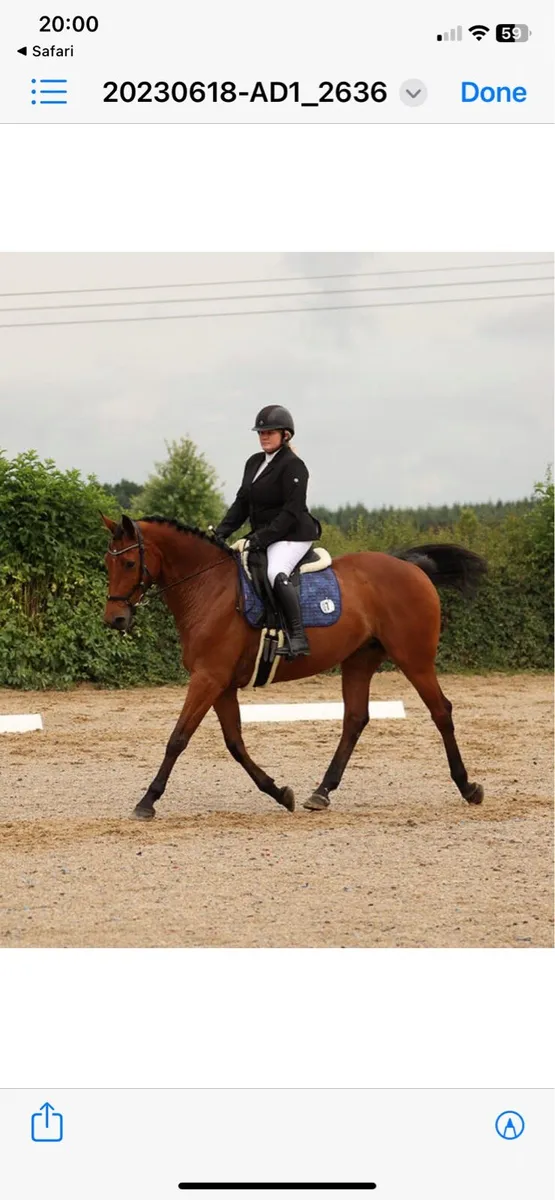 Free lance instructor