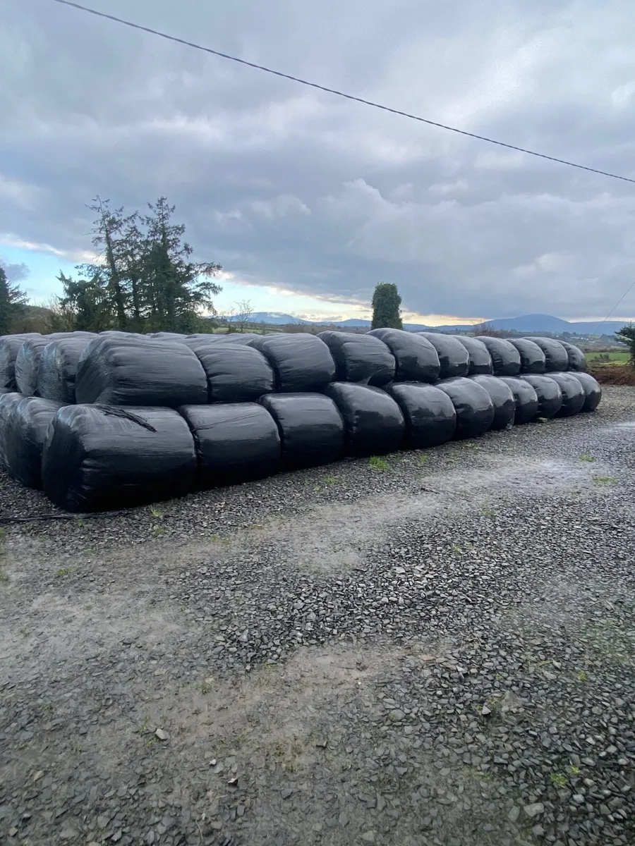 Bales - Image 1